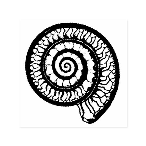 Ammonite Fossil _ Spiral Seashell Self_inking Stamp