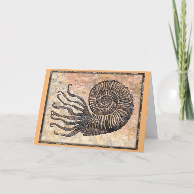 Ammonite Fossil Talking Canyons, New Mexico Card (Front)