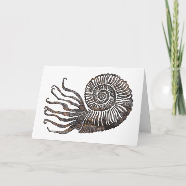 Ammonite Fossil Talking Canyons, New Mexico Card (Front)