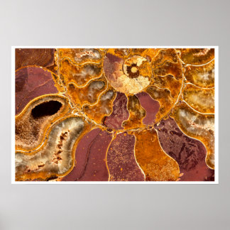 Ammonite Fossil Wall Art | Earth Tone Abstract