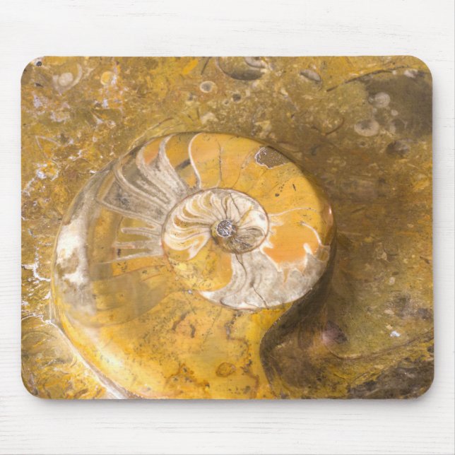 Ammonite Fossils in Rock Photography Rockhound Mouse Pad (Front)