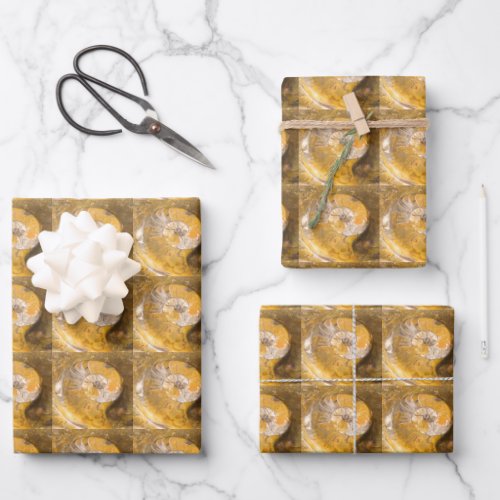 Ammonite Fossils Rock Nature Photography Pattern Wrapping Paper Sheets