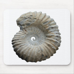 ammonite mouse pad