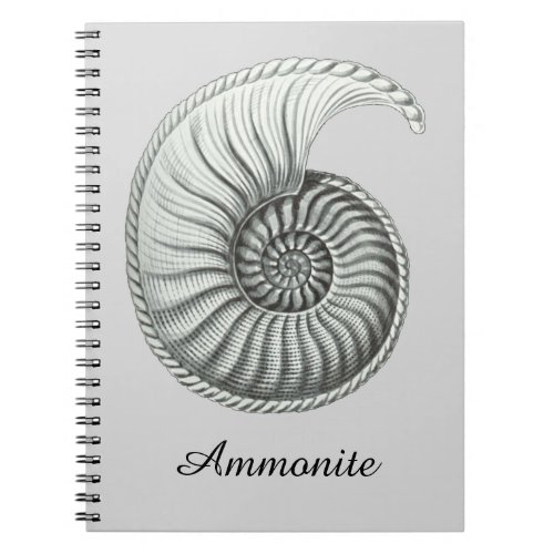 Ammonite Notebook