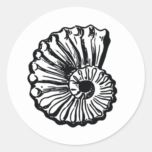 Ammonite shell black and white sticker