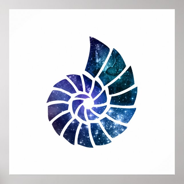 Ammonite Silhouette Art Poster (Front)