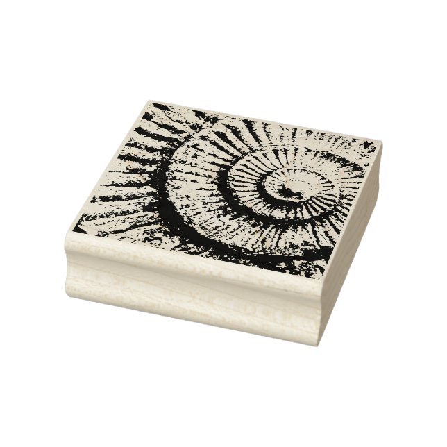 Ammonite texture  rubber stamp (Stamp)