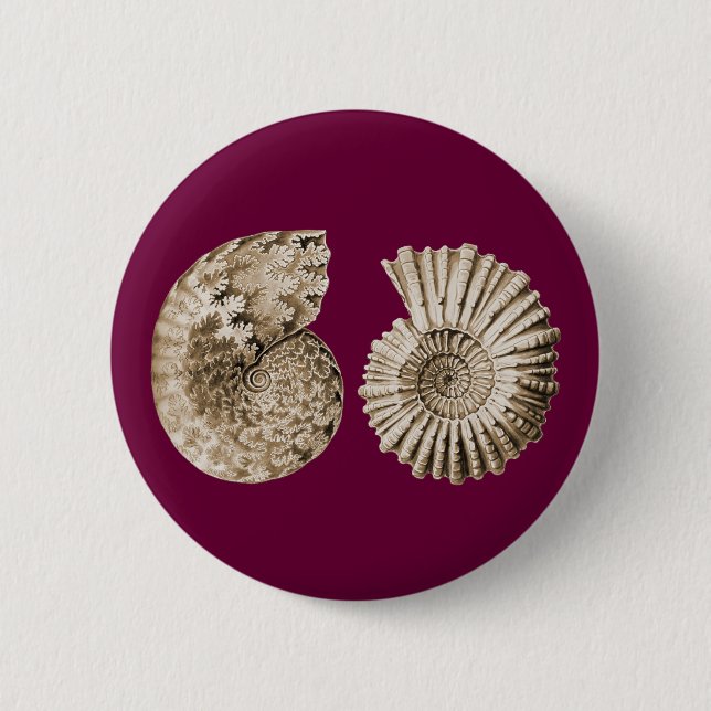 Ammonites Button (Front)