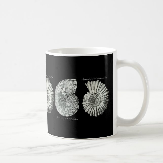 Ammonites Coffee Mug (Right)