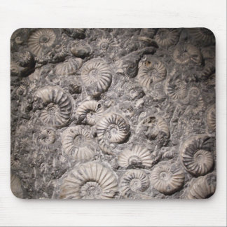 Ammonites Mouse Pad