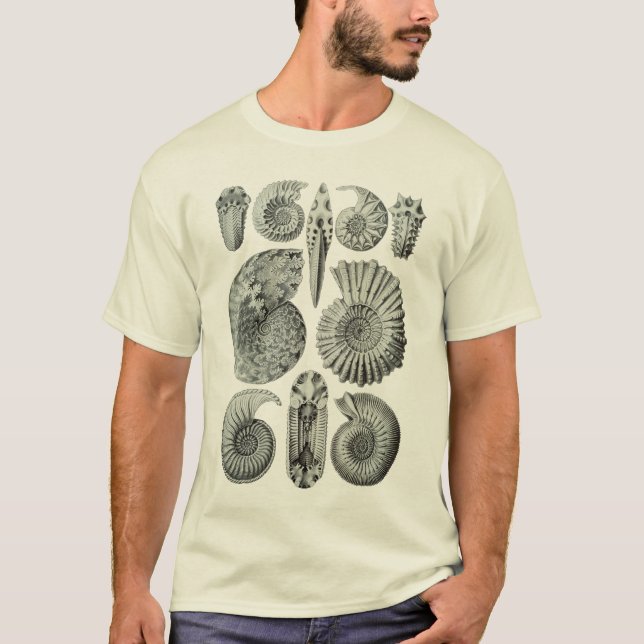 Ammonites T-Shirt (Front)