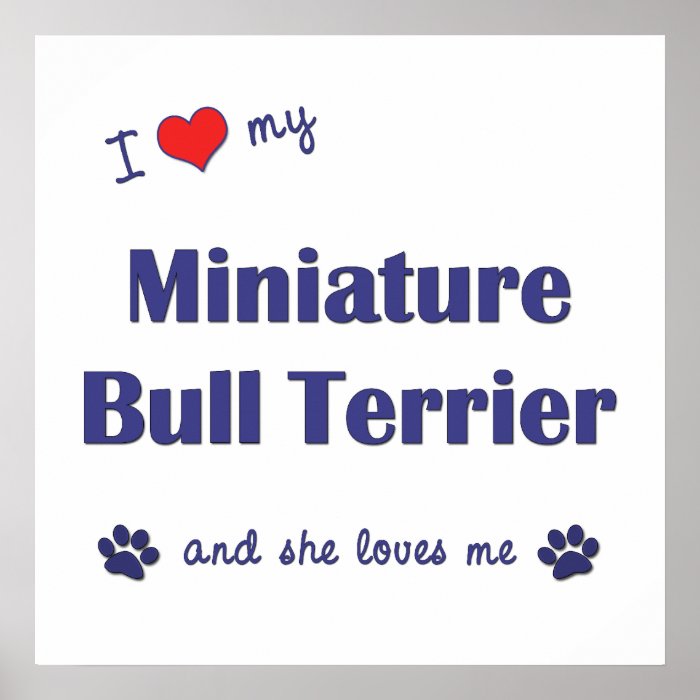 Amo mi bull terrier miniatura (el perro femenino) impresiones de