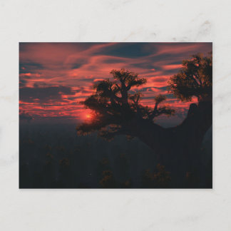 Among The Ancients Postcard