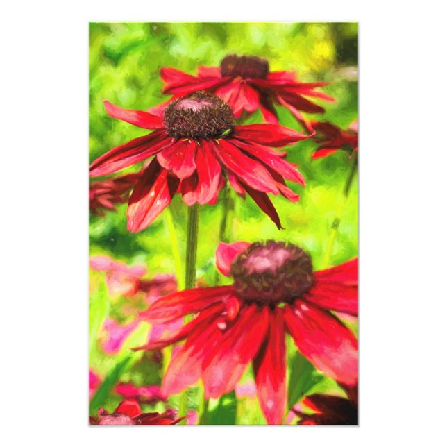 Among The Flowers Photo Print (Front)