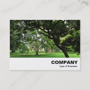Amongst the Magnolia Trees Business Card