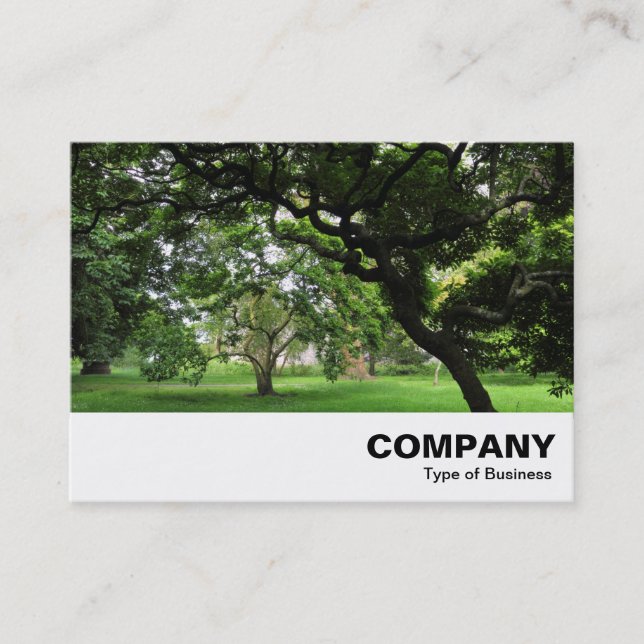 Amongst the Magnolia Trees Business Card (Front)