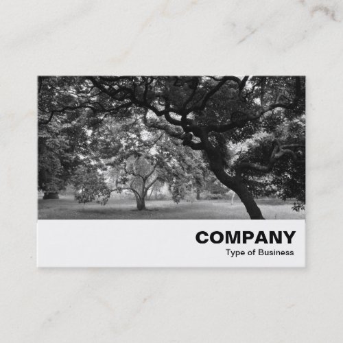 Amongst the Magnolia Trees BW Business Card