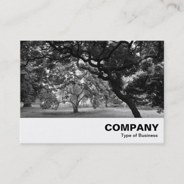 Amongst the Magnolia Trees BW Business Card (Front)