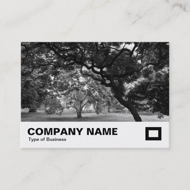 Amongst the Magnolia Trees BW Business Card (Front)