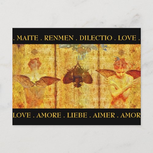 Amore Fresco Postcard