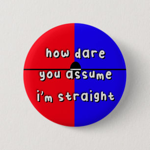 Amoretrosexual Pride - “How Dare You Assume” -LGBT Button