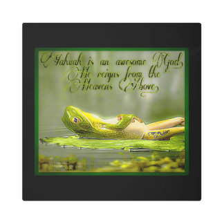 Amphibian Models: Frog Laze 01-02 Metal Print