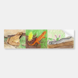 Amphibians Bumper Sticker