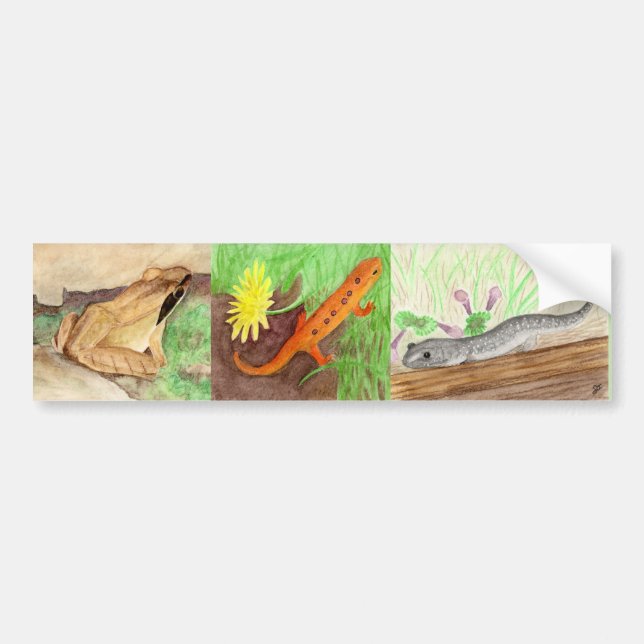 Amphibians Bumper Sticker (Front)