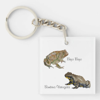 Amphibians, Reptiles & Insects Watercolor Keychain