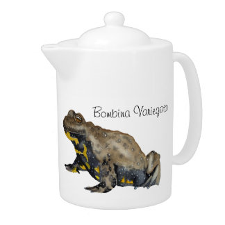 Amphibians, Reptiles & Insects Watercolor Teapot