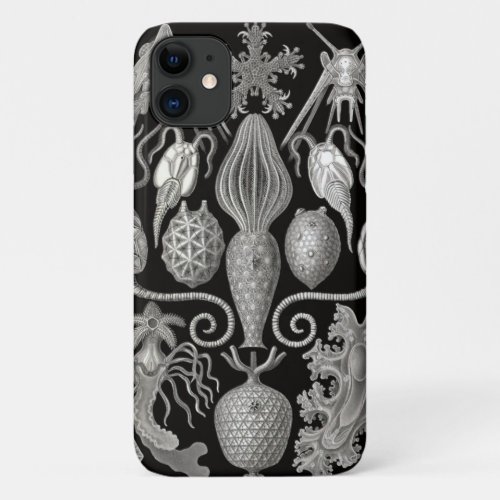 "Amphoridea; or Star-Animals" iPhone 11 Case