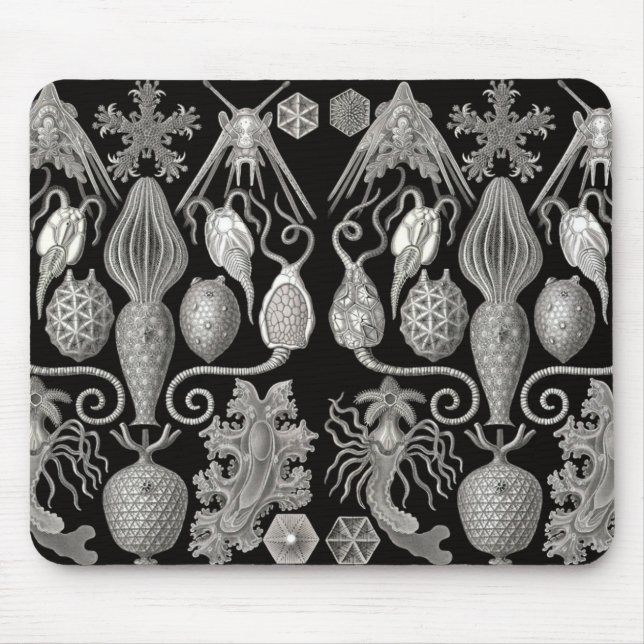 "Amphoridea; or, Star-Animals" Mouse Pad (Front)