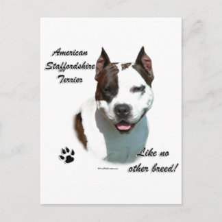 AmStaff Like No Other Breed Postcard