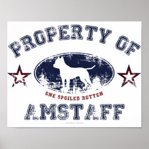 Amstaff Poster