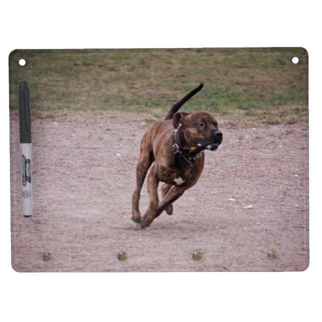 Amstaff running dry erase board with keychain holder (Front)