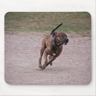 Amstaff running mouse pad