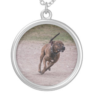 Amstaff running silver plated necklace