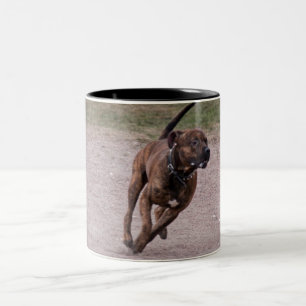 Amstaff running Two-Tone coffee mug