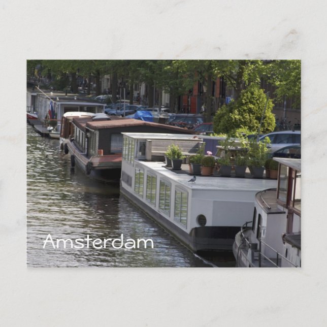 Amsterdam Canal House Boats Postcard (Front)