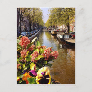 Amsterdam Canal Sunny Fall Day Bloemgracht Postcard