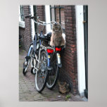 Amsterdam Cats on Bicycles Photo Poster<br><div class="desc">Hello! Hope you like this photo I took! Feel free to add your own text and check my shops for more! if you'd like something custom please get in touch. And if you purchase something from my shops, thank you! I'd love to see it in action, you can contact me...</div>