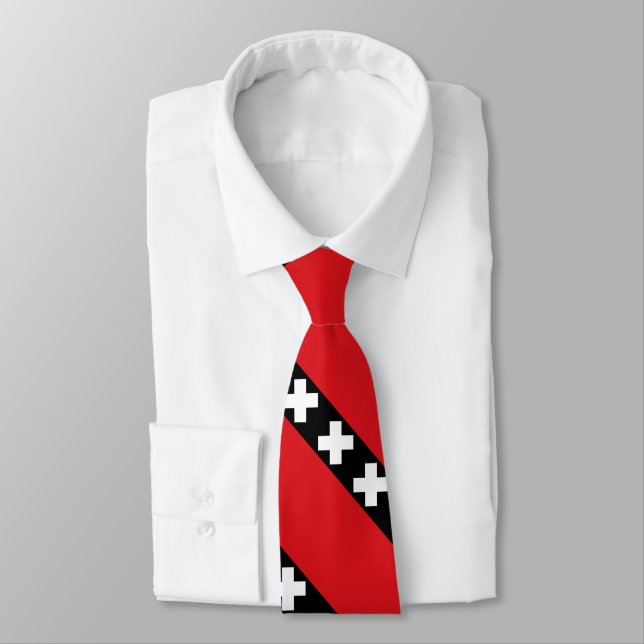 Amsterdam Flag Neck Tie (Tied)