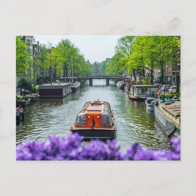 Amsterdam Postcard (Front)