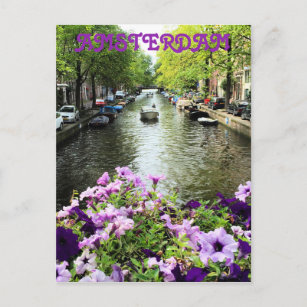 Amsterdam Summer Canal Postcard