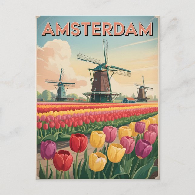 Amsterdam tulip field vintage postcard (Front)
