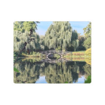 Amsterdam Willow Pond