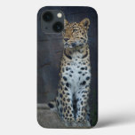 Amur Leopard Iphone 6 Case at Zazzle
