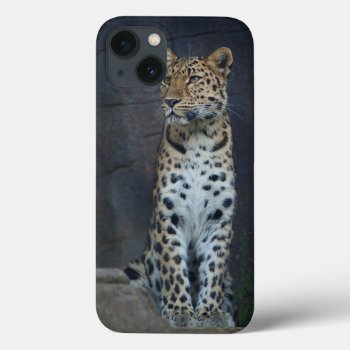 Amur Leopard Iphone 6 Case by leanajalukse at Zazzle