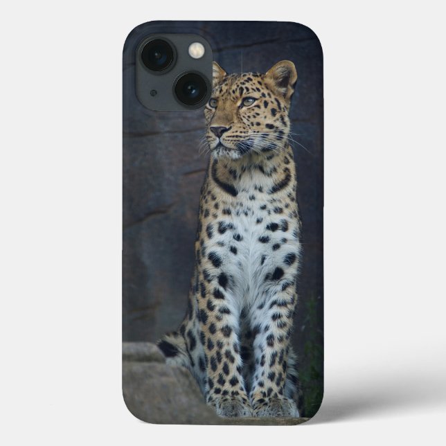 Amur Leopard iPhone 6 Case (Back)