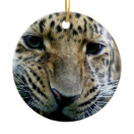 Amur Leopard Ornaments